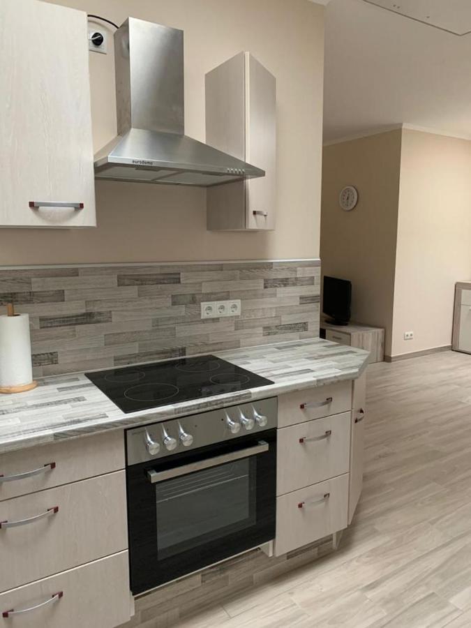 2Raum-Apartment Leznew Lipsk Zewnętrze zdjęcie